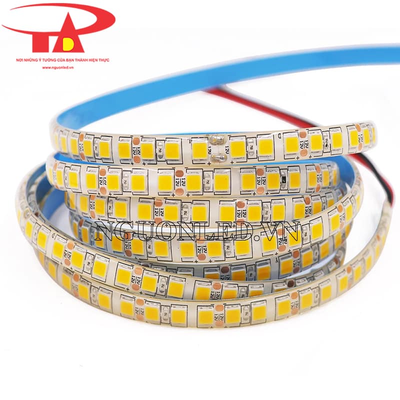 Led dây dán cuộn 5m 5054 12v