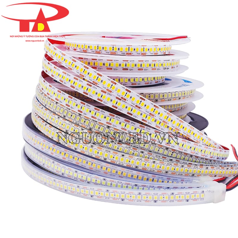 Led dây dán 12v korea giá rẻ