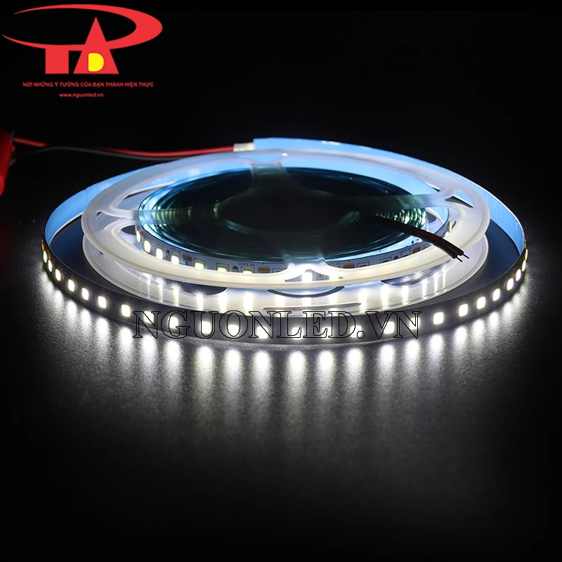 Dây led cuộn 5m 12v màu trắng