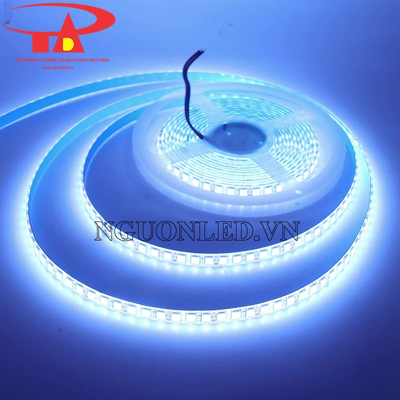 Led dây trang trí 12v 5054 màu trắng