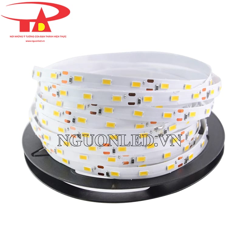 Dây led dán 12v 5630 không keo