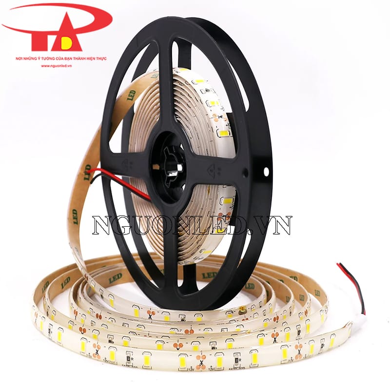 Dây led dẻo 12v có keo ngoài trời