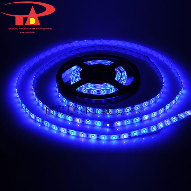 Đèn led dây dán 5630, 5730 xanh dương