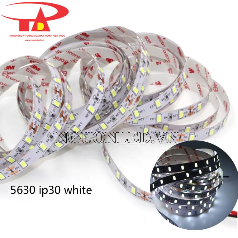 Led dây dẻo 12v 5630 ánh sáng trắng