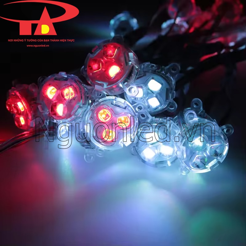 Led bát full color 30mm bóng đầu trong