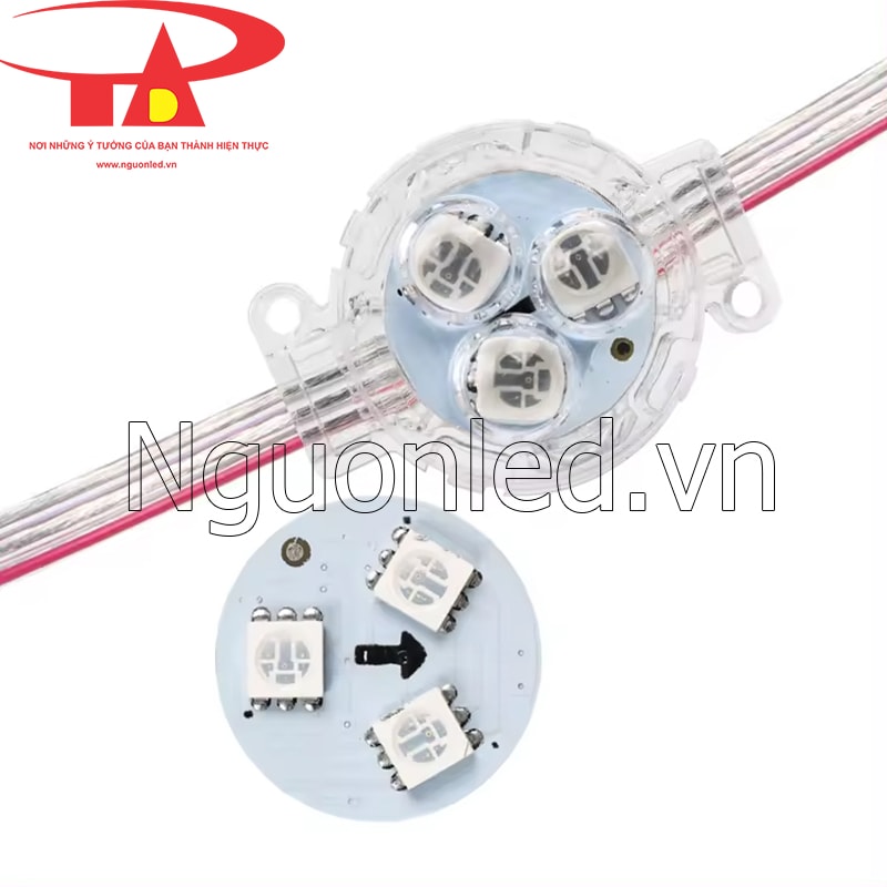 Led bát full color 30mm đầu trong