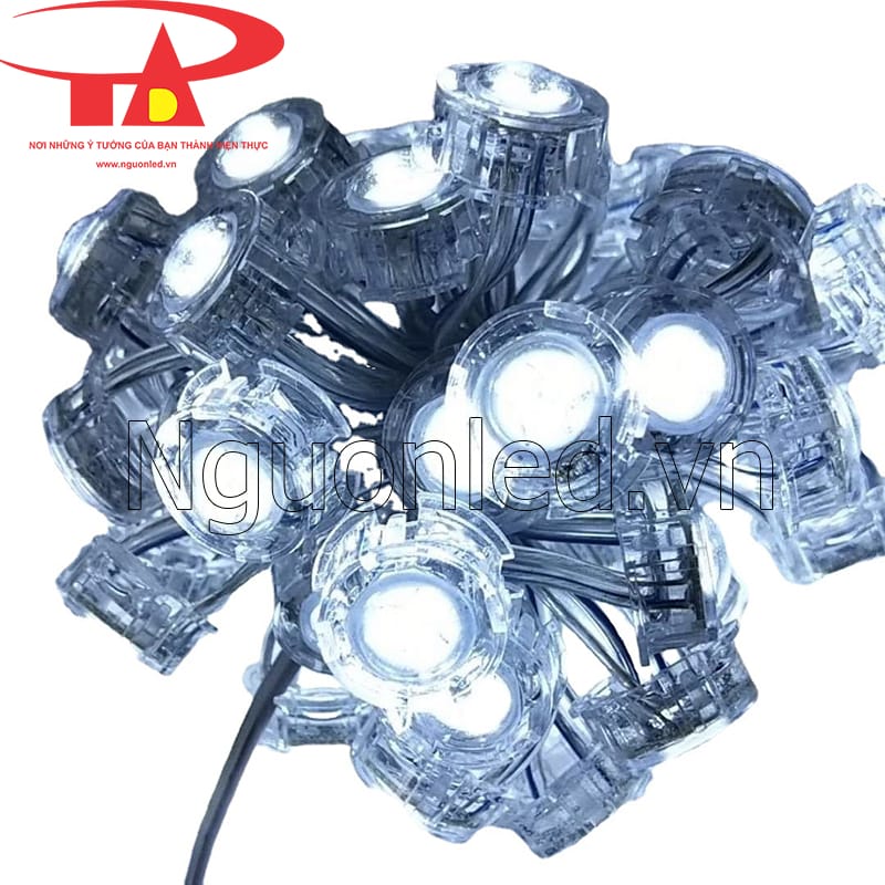 Led bát 20mm ánh sáng trắng