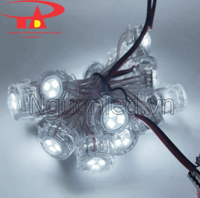 Led bát 20mm màu trắng chống mưa