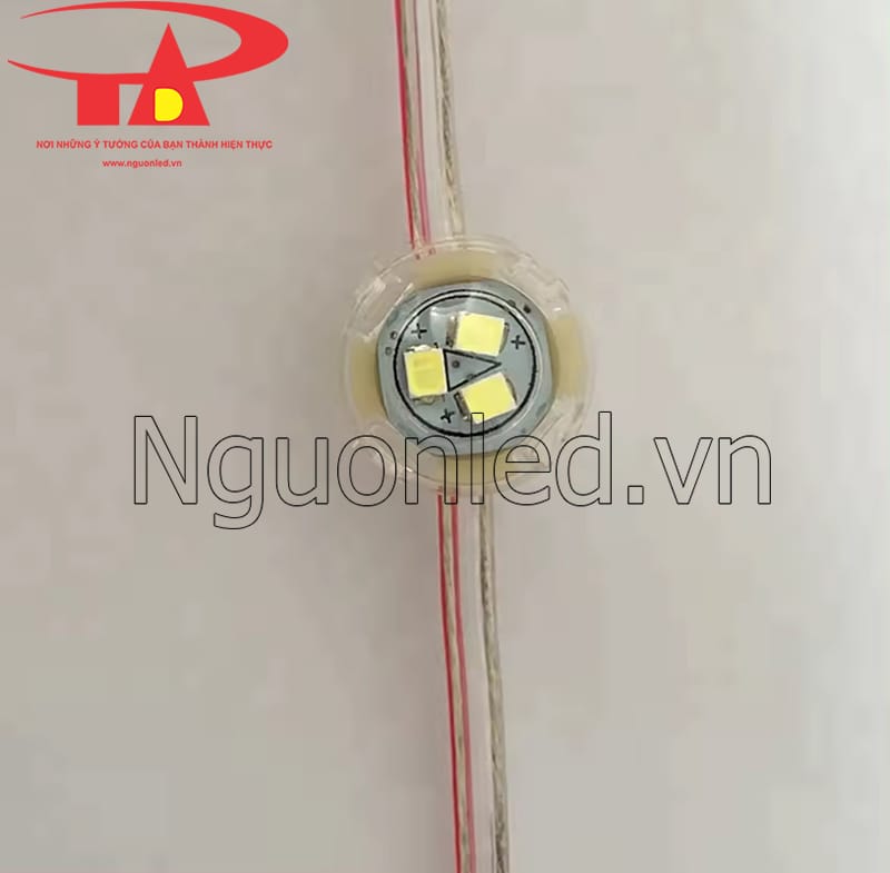 Led bát 20mm màu trắng đầu trong