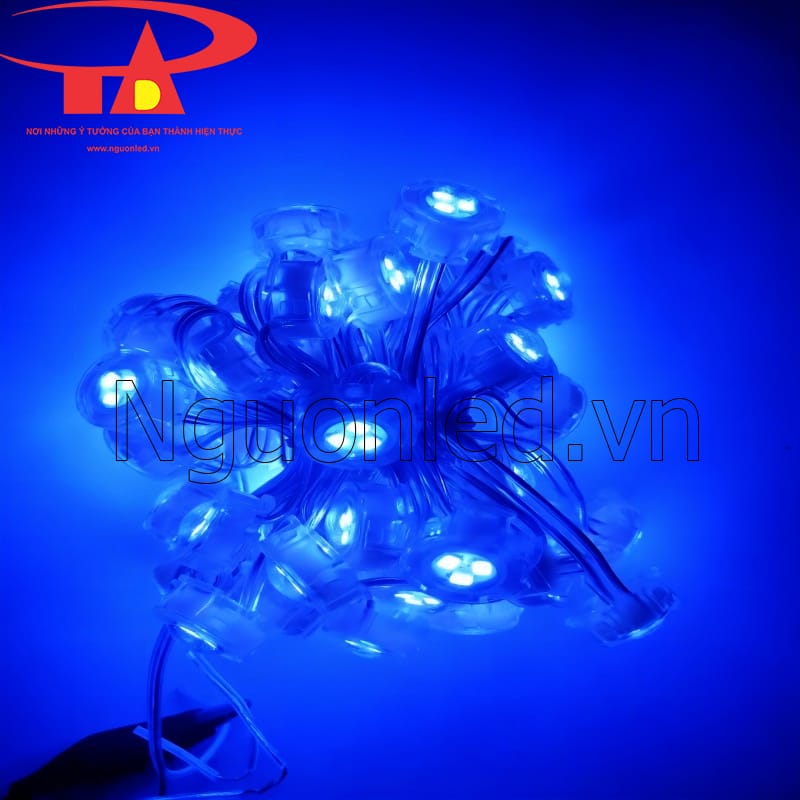 Led bát 20mm ánh sáng màu xanh dương