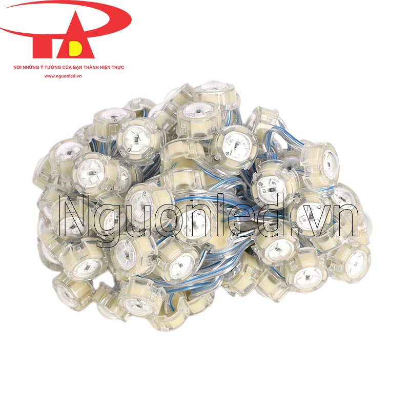 Led bát f20 màu xanh dương đầu trong