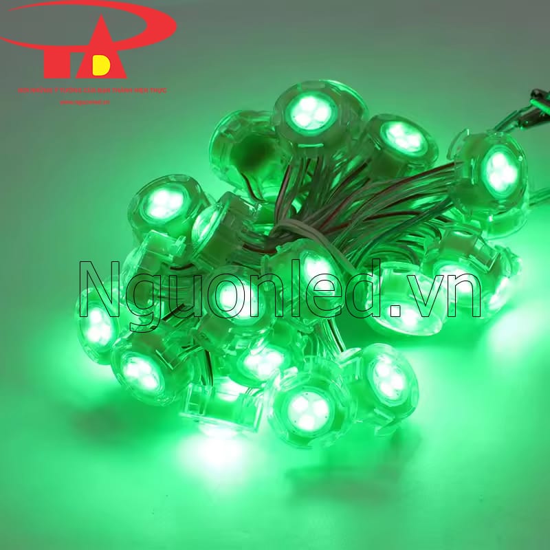 Led bát 20mm màu xanh lá, chip led smd2835 siêu sáng