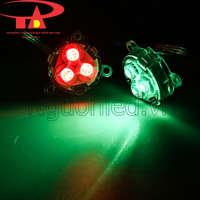 Led bát D30 full color ic 1903