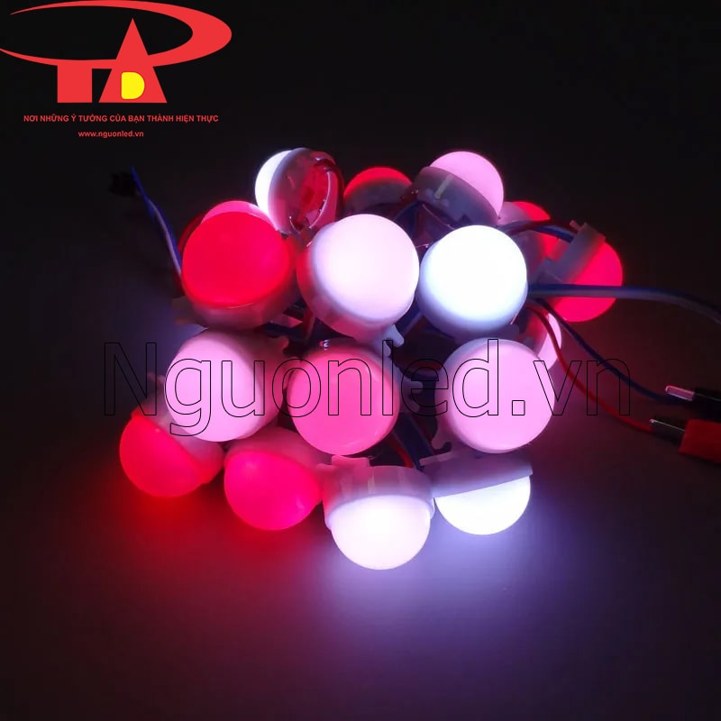 Led bát full color f30 chất lượng cao