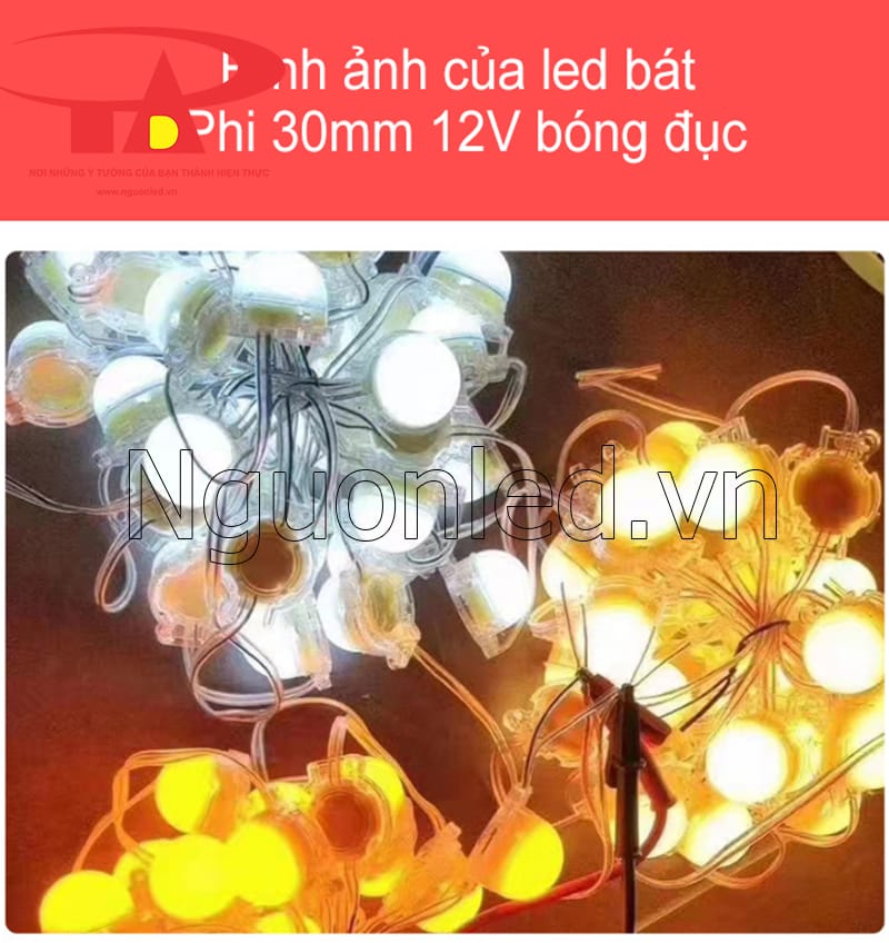 Led bát màu trắng 30mm 12v