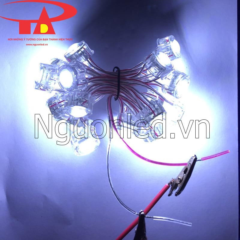 Led bát F30 màu trắng 12v siêu sáng