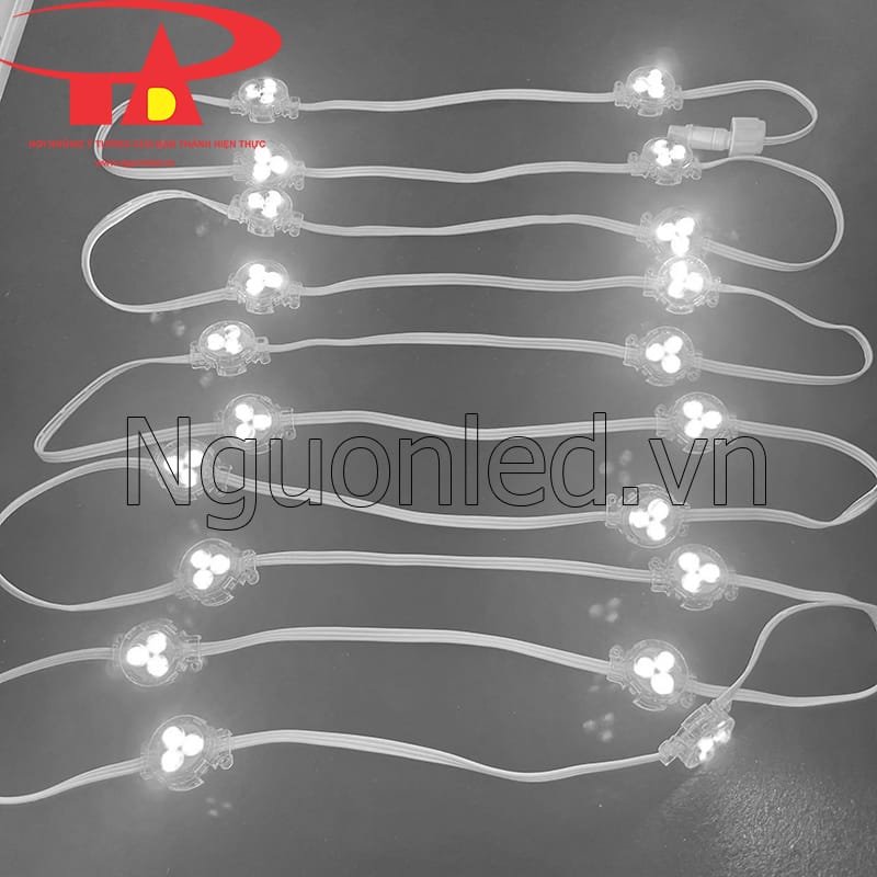 Led bát màu trắng 30mm siêu sáng