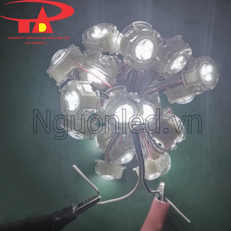 Led bát màu trắng f30 12v loại tốt