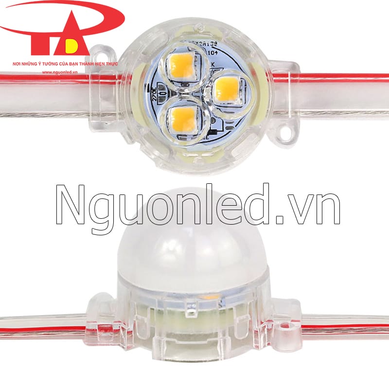 Led bát 3cm màu vàng dùng điện 12v