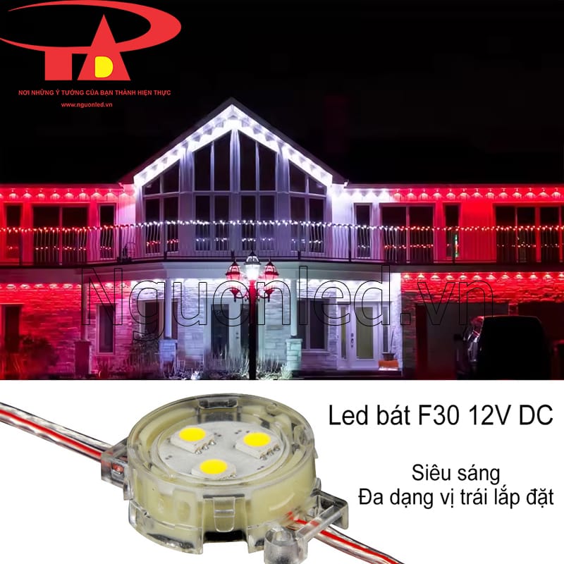 Led bát F30 màu trắng