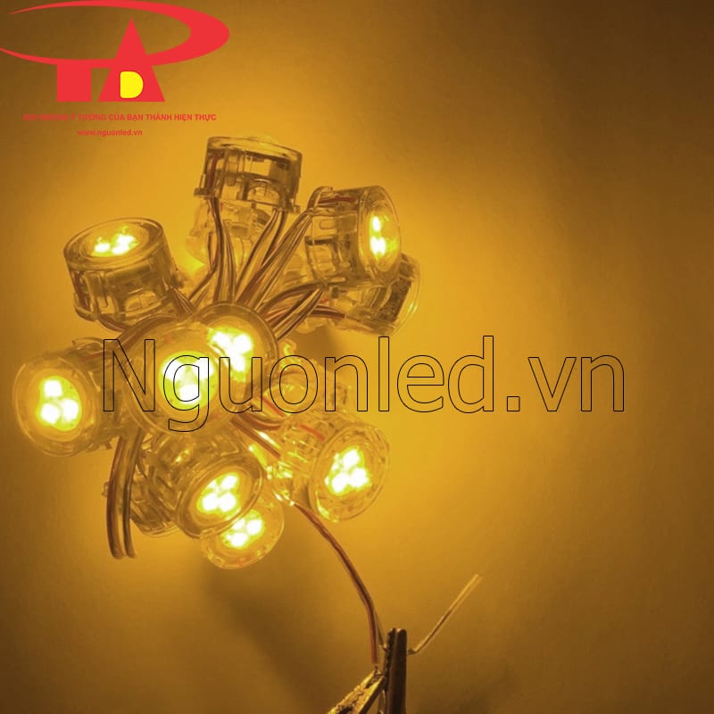 Led bát màu vàng f30 12v