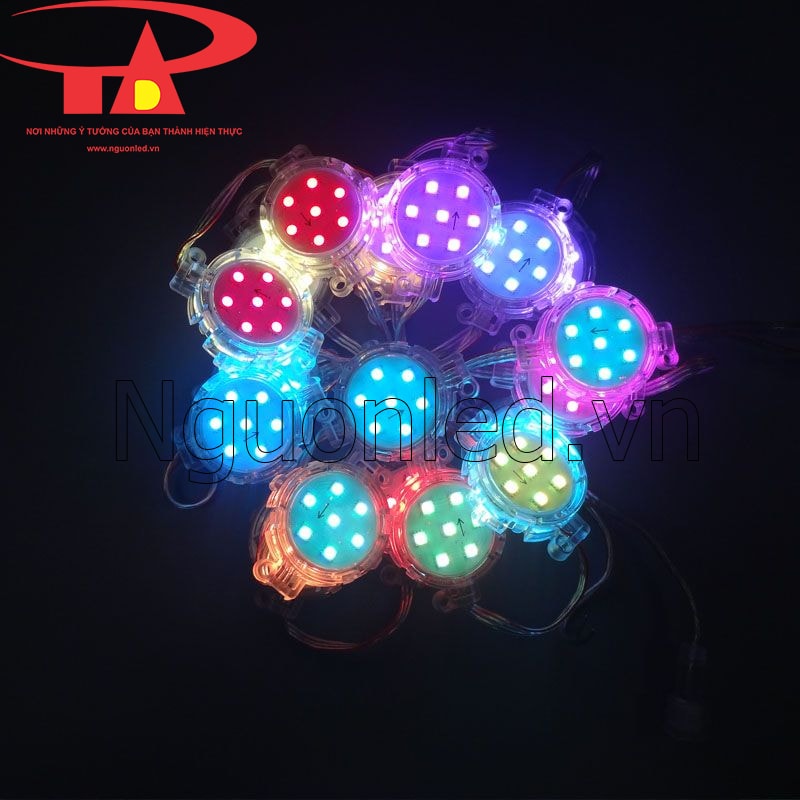 Led bát 50mm full color hiệu ứng mượt mà