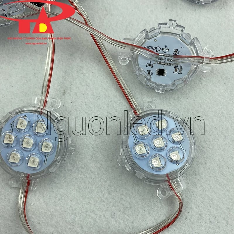 Led bát D50 full color ic 1903