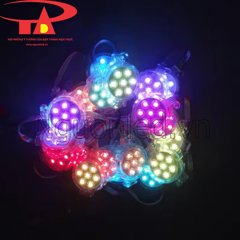 Led full color 24v 50mm bóng trong, ic 1903