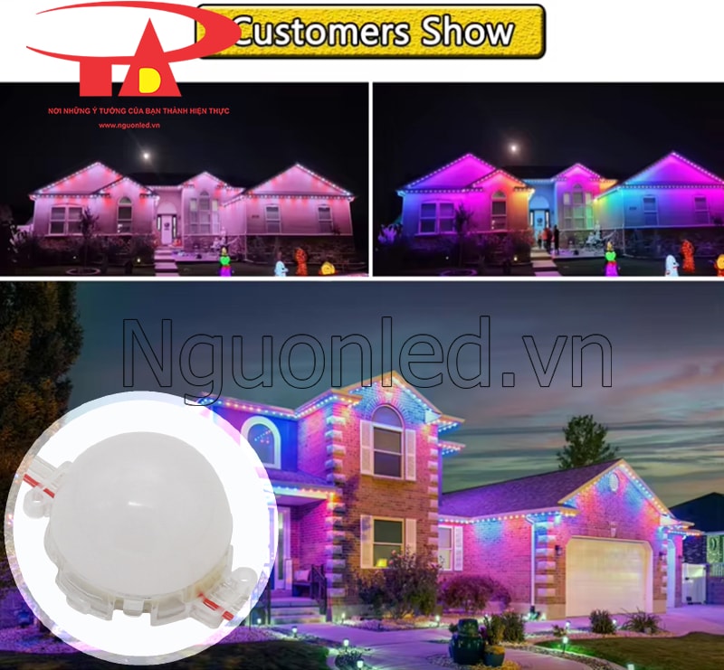 Led bát full color f50 loại tốt