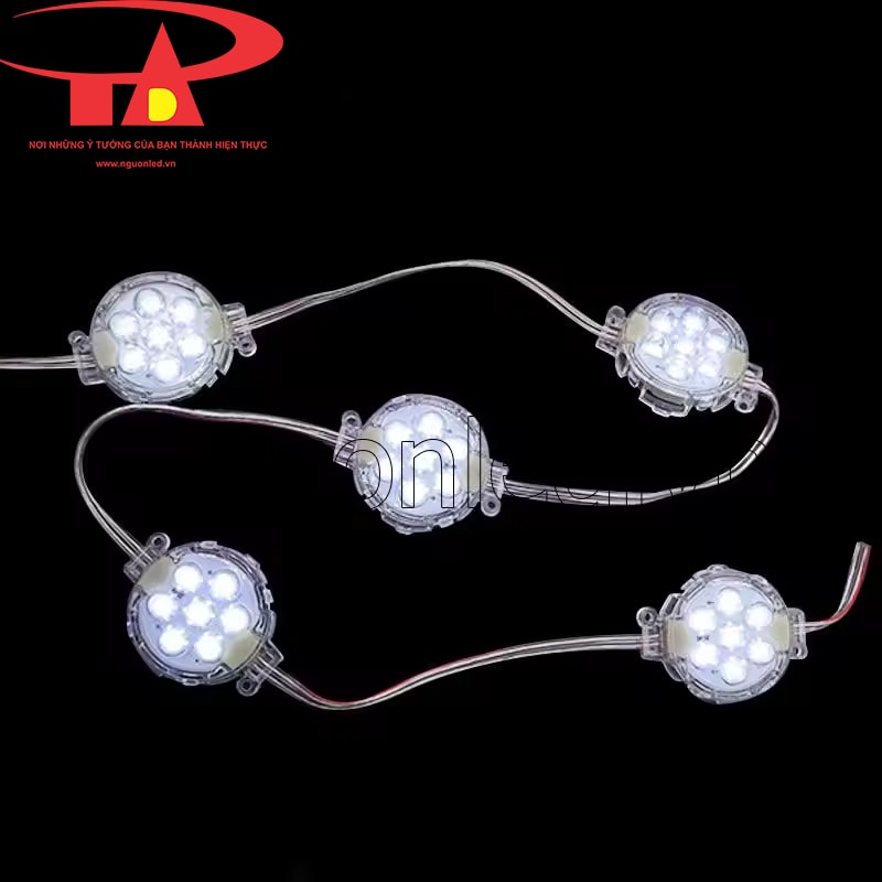 Dây đèn led bát 50mm màu trắng