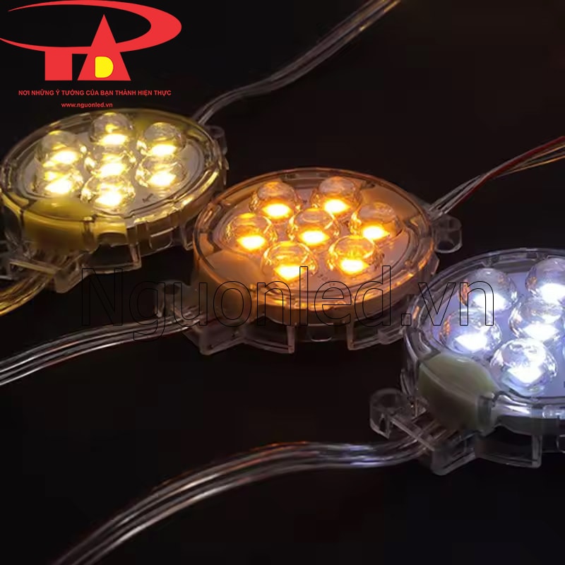 Đèn led bát f50 ánh sáng màu trắng