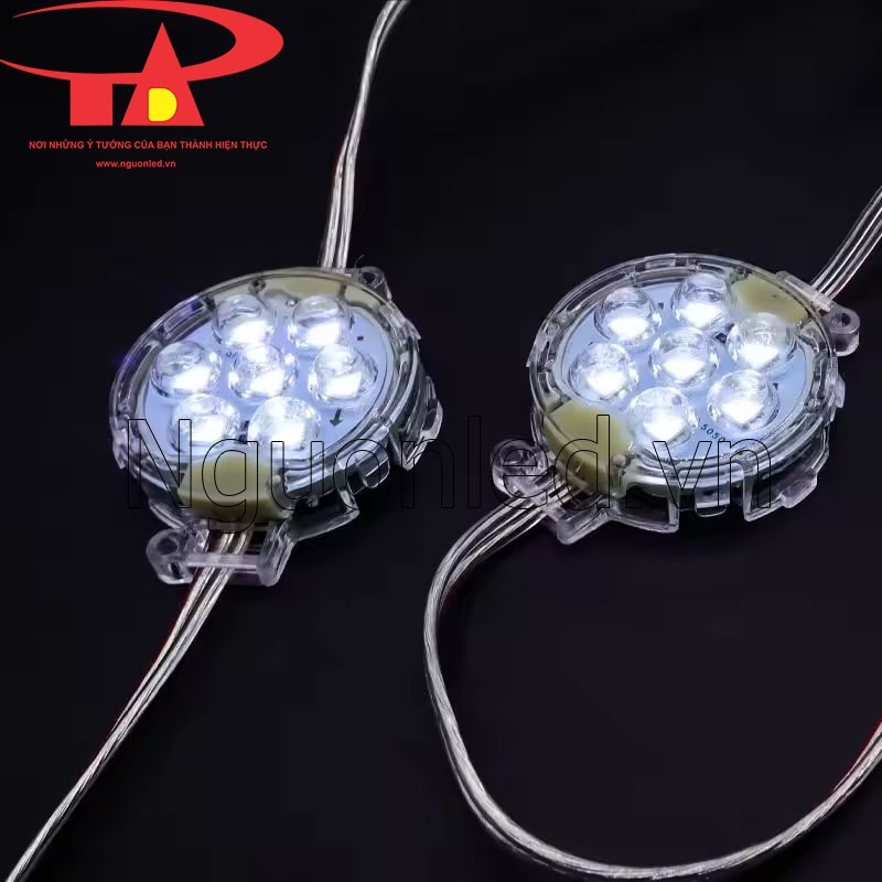 Led bát 50mm màu trắng đầu trong