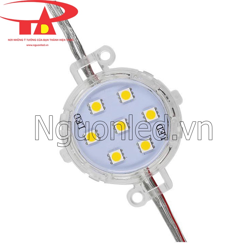 Led bát 50mm màu trắng loại tốt