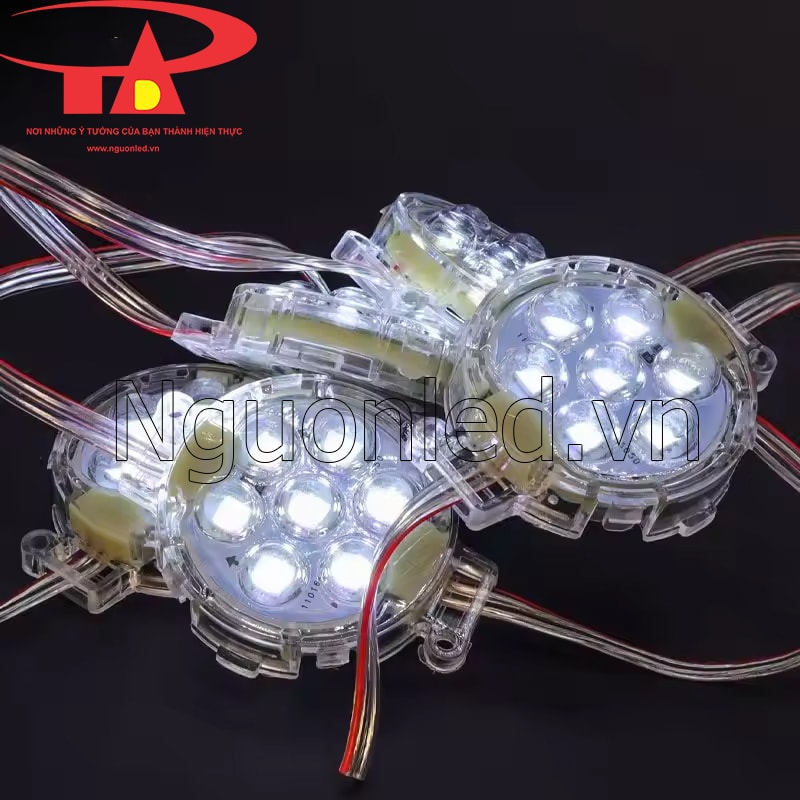 Led bát F50 màu trắng điện áo 24v dc