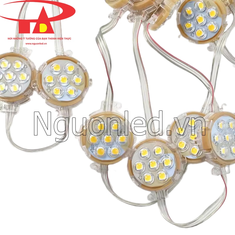 Led bát 50mm màu vàng sử dụng điện áp 24v