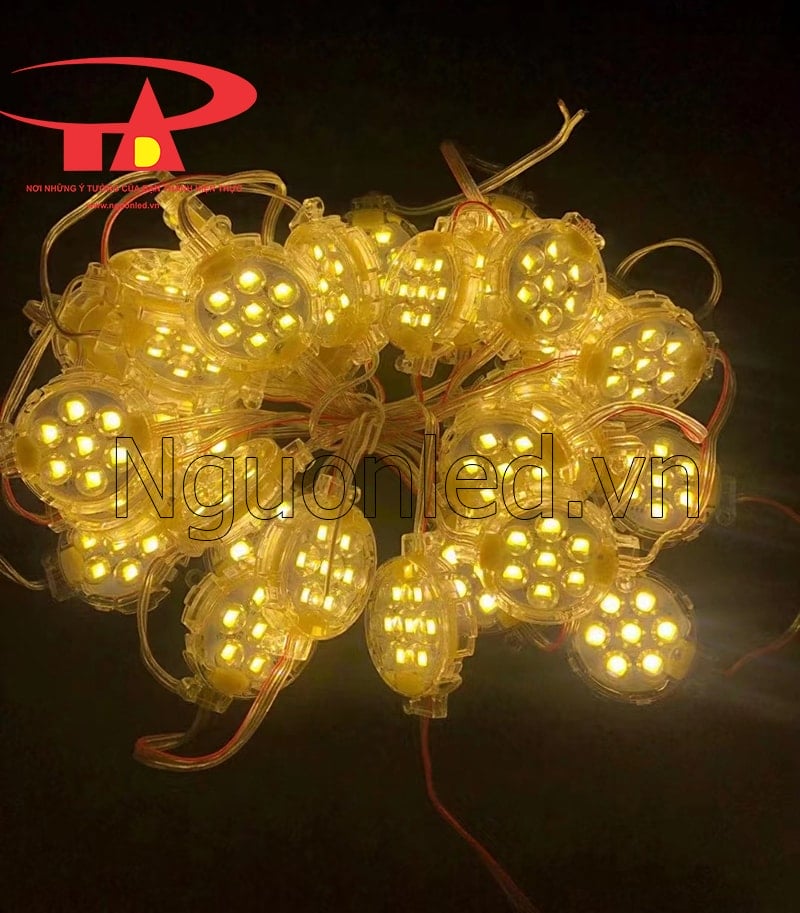 Led bát D50 màu vàng dùng trong nhà và ngoài trời