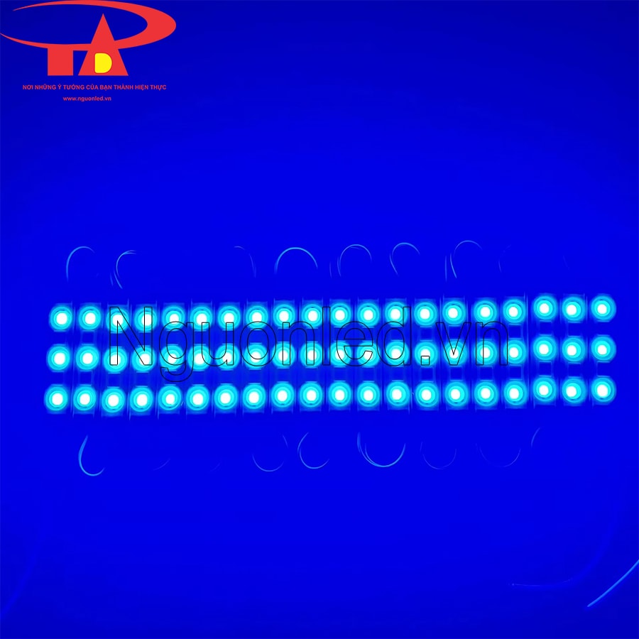 Led module ba bóng 2835 màu xanh dương