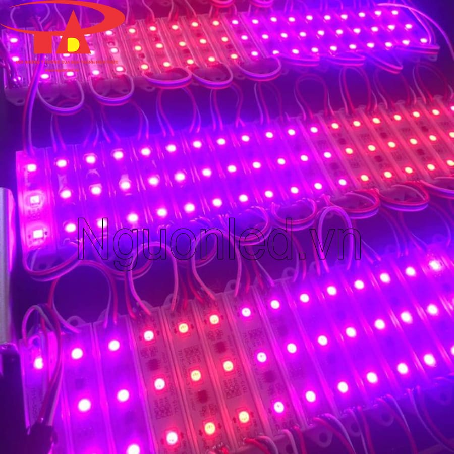 Led hắt 3 bóng full color dùng ngoài trời