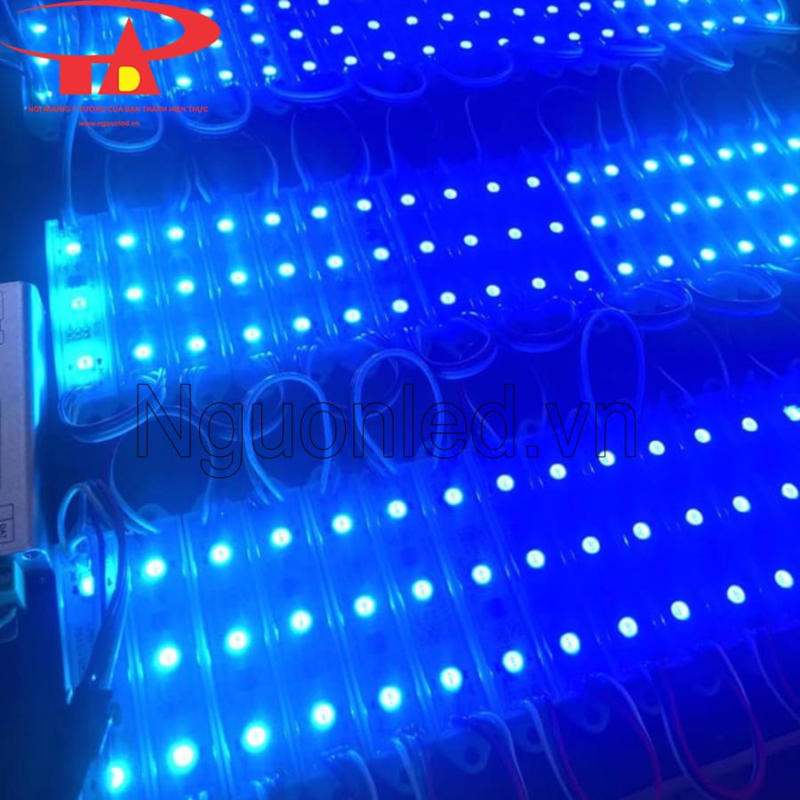 Led hắt ba bóng màu xanh dương