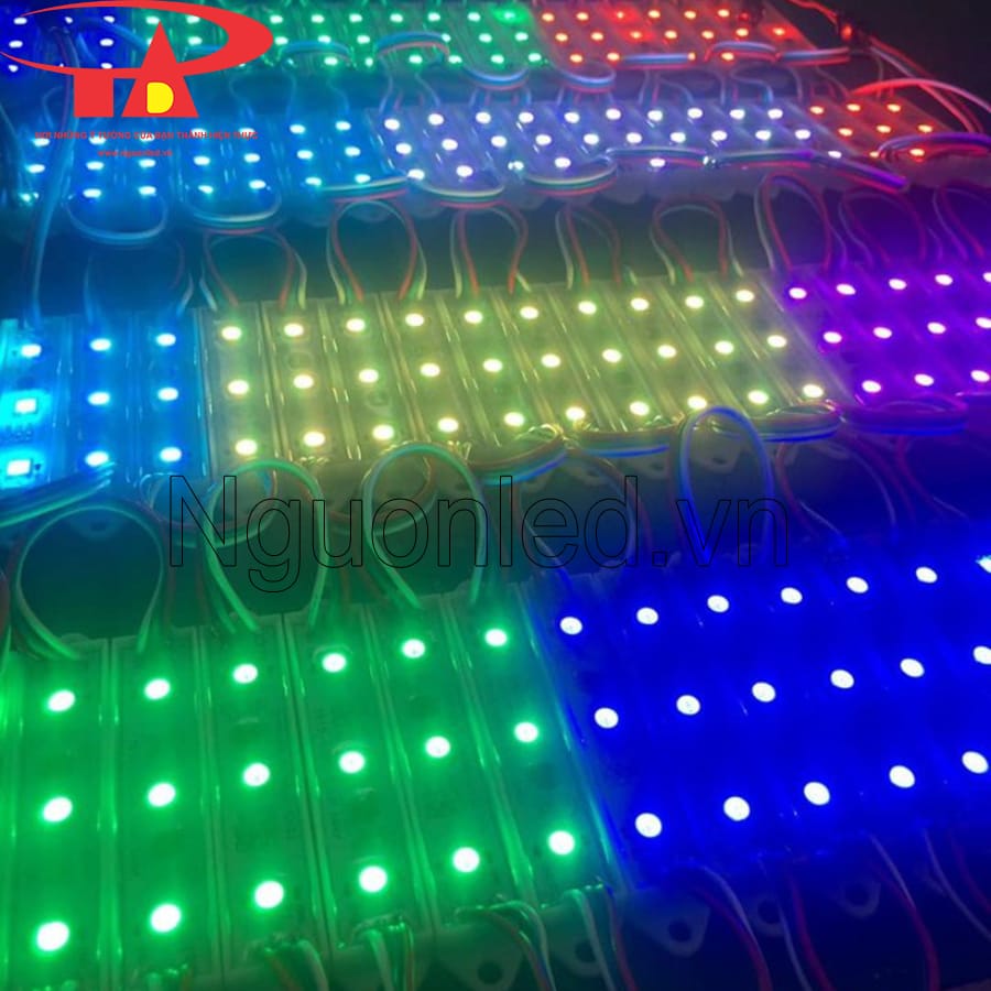 Led module 3 bóng full color