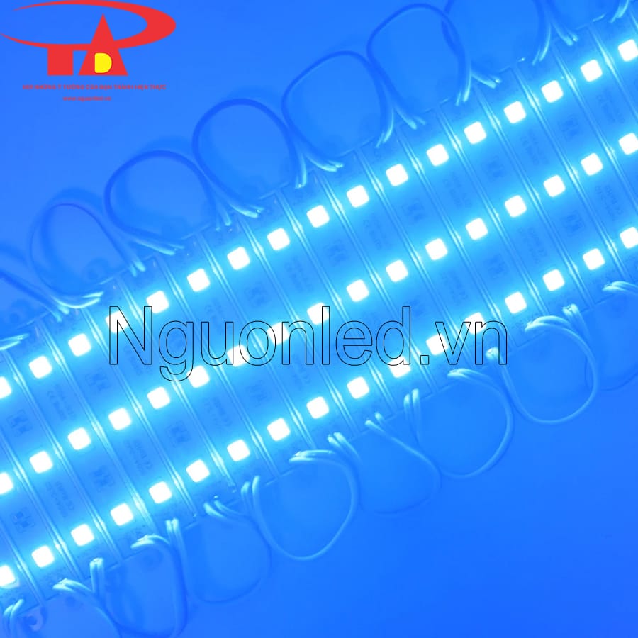 Led hắt ba bóng 5054 màu xanh dương