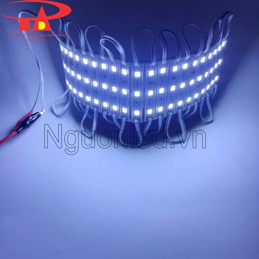 Led hắt module 3 bóng 5054 màu trắng