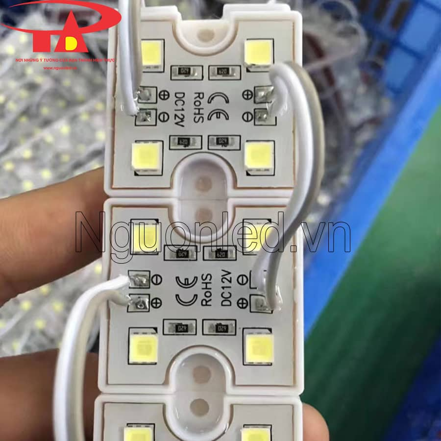 Led hắt 4 bóng 12v 5054 chất lượng cao