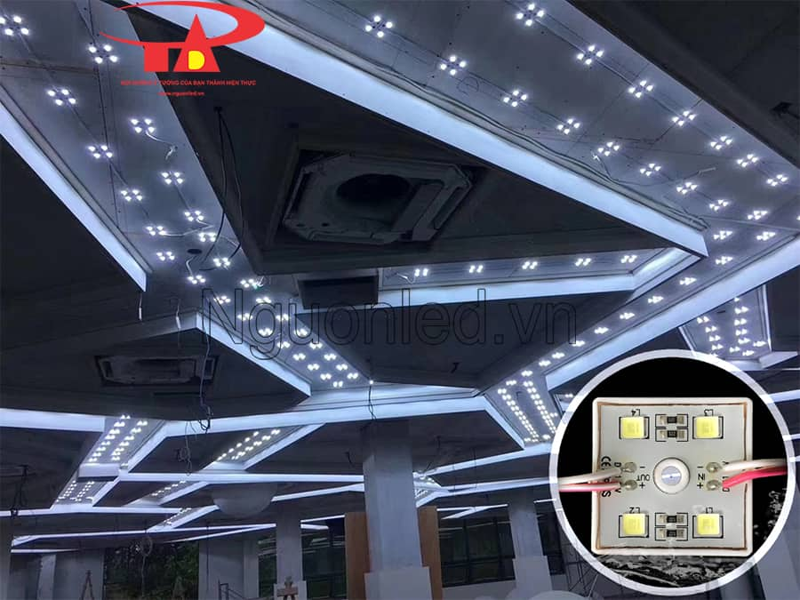 Led module 4 bóng dùng để hắt trần