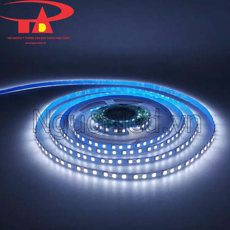 Led ziczac 2835 12v màu trắng