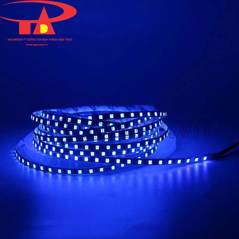 Led dây dán ziczac 12v màu xanh dương