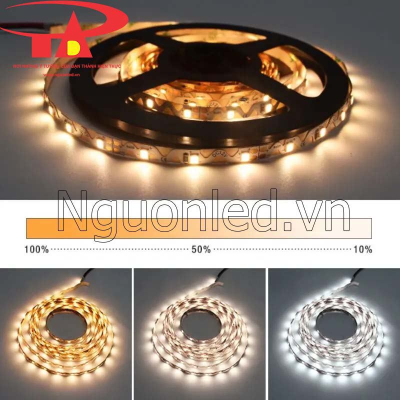 Led dây hình chữ S 12v màu vàng