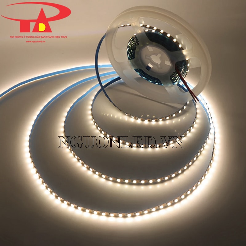 Dây led dán 12v 4mm trung tính