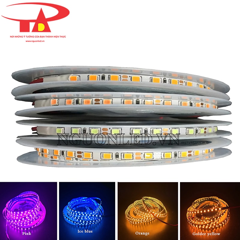 Led dây dán 12v không keo chip 2835