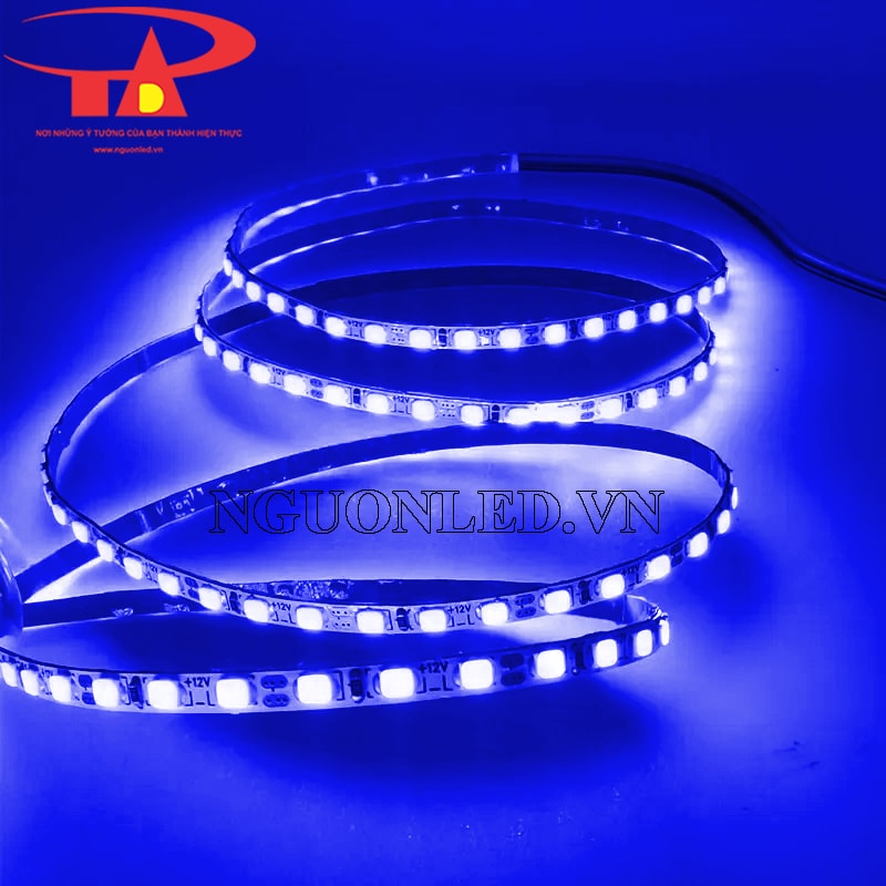 Đèn led dây 2835 xanh dương